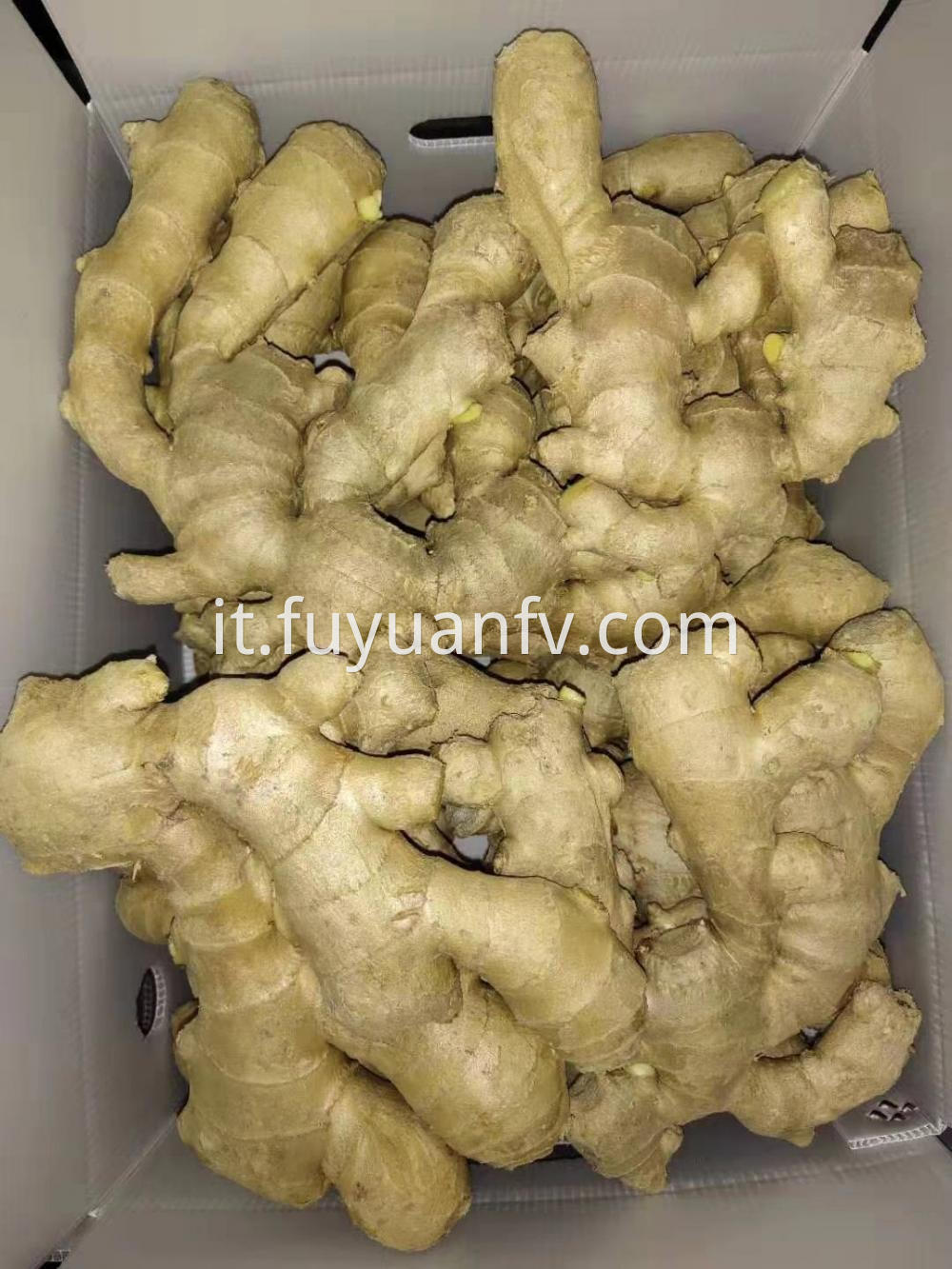 Air Dried Ginger